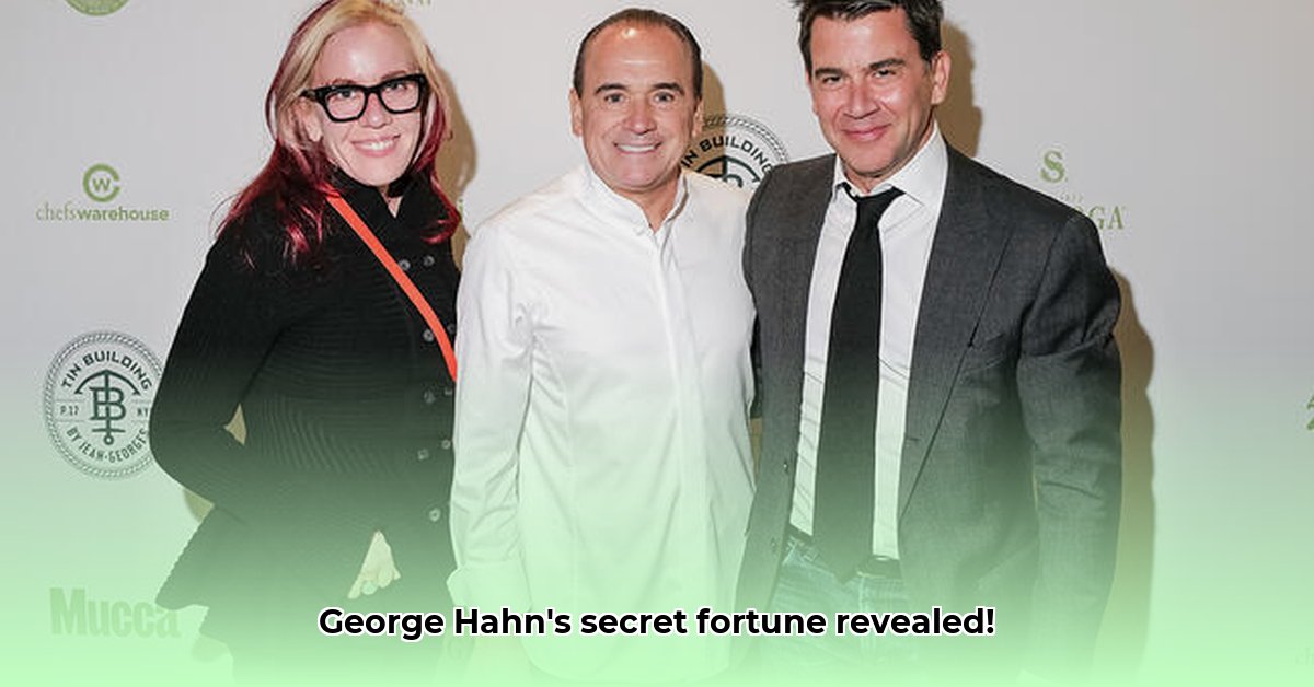 george-hahn-net-worth
